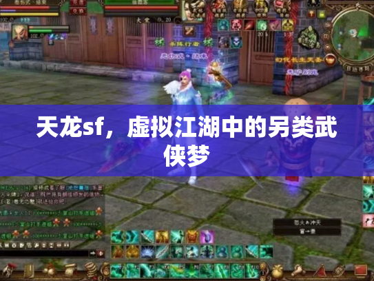 天龙sf，虚拟江湖中的另类武侠梦