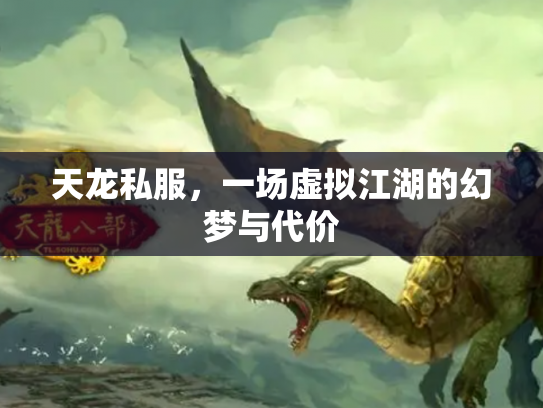 天龙私服，一场虚拟江湖的幻梦与代价