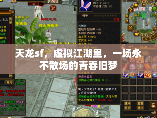 天龙sf，虚拟江湖里，一场永不散场的青春旧梦