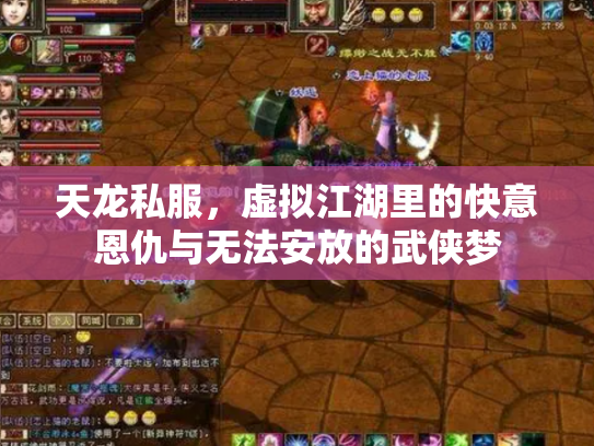 天龙私服，虚拟江湖里的快意恩仇与无法安放的武侠梦