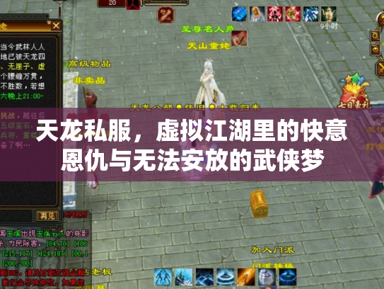 天龙私服，虚拟江湖里的快意恩仇与无法安放的武侠梦