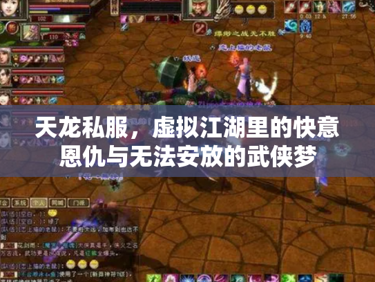 天龙私服，虚拟江湖里的快意恩仇与无法安放的武侠梦