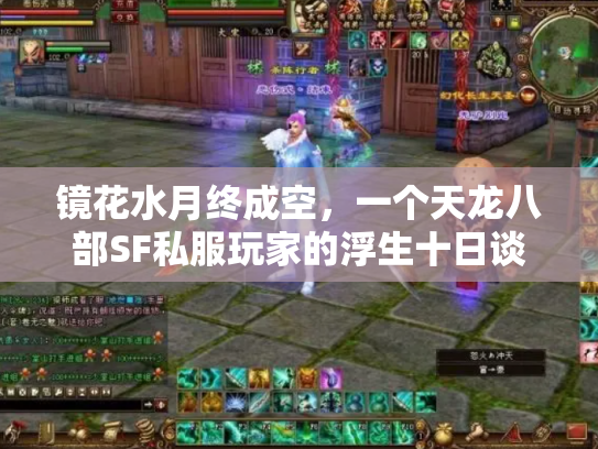 镜花水月终成空，一个天龙八部SF私服玩家的浮生十日谈