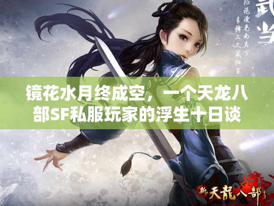 镜花水月终成空，一个天龙八部SF私服玩家的浮生十日谈