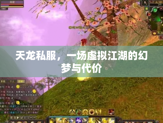 天龙私服，一场虚拟江湖的幻梦与代价