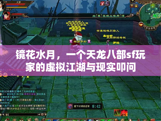 镜花水月，一个天龙八部sf玩家的虚拟江湖与现实叩问