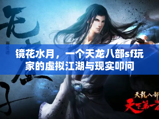 镜花水月，一个天龙八部sf玩家的虚拟江湖与现实叩问