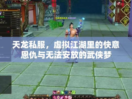 天龙私服，虚拟江湖里的快意恩仇与无法安放的武侠梦