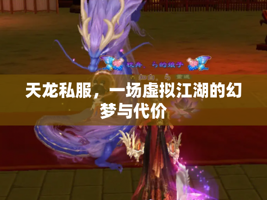 天龙私服，一场虚拟江湖的幻梦与代价