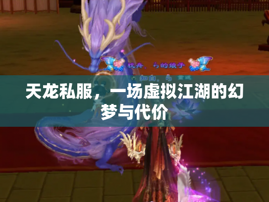 天龙私服，一场虚拟江湖的幻梦与代价