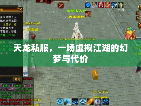 天龙私服，一场虚拟江湖的幻梦与代价