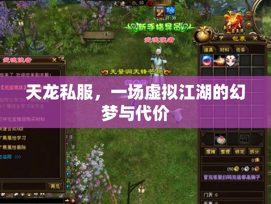 天龙私服，一场虚拟江湖的幻梦与代价