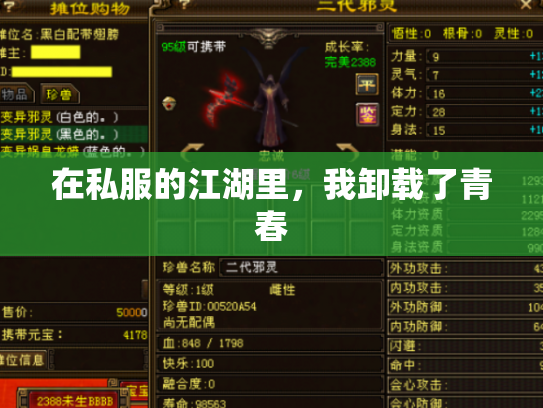 在私服的江湖里，我卸载了青春