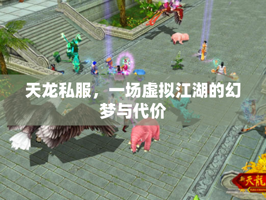 天龙私服，一场虚拟江湖的幻梦与代价