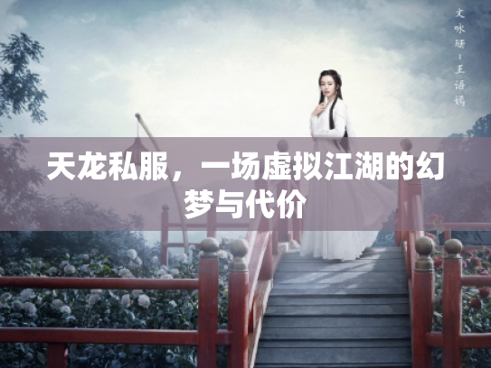天龙私服，一场虚拟江湖的幻梦与代价