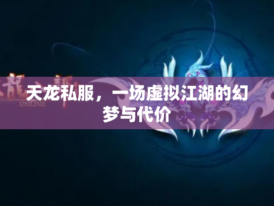 天龙私服，一场虚拟江湖的幻梦与代价