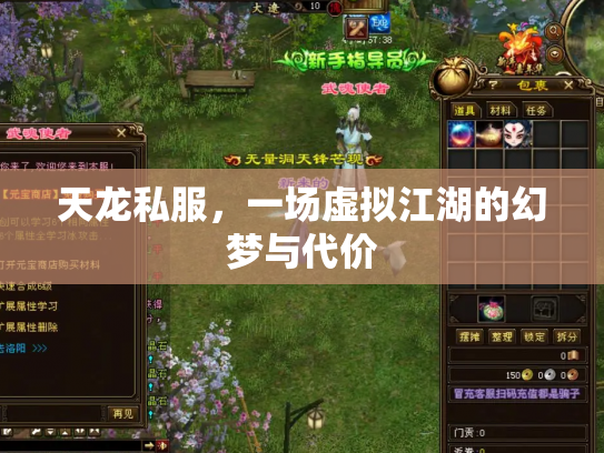 天龙私服，一场虚拟江湖的幻梦与代价
