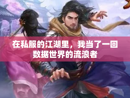 在私服的江湖里，我当了一回数据世界的流浪者