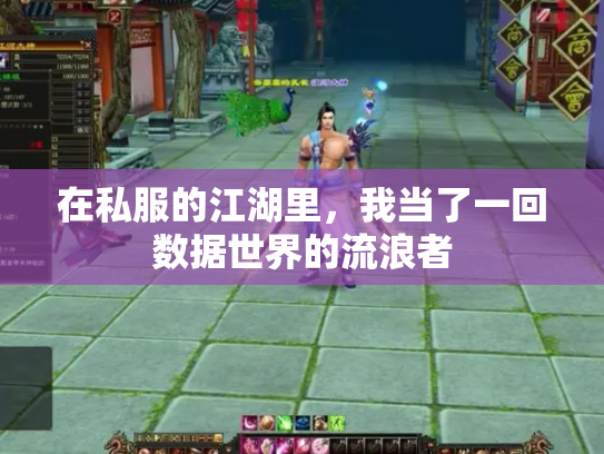 在私服的江湖里，我当了一回数据世界的流浪者