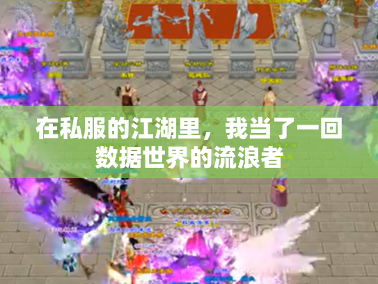 在私服的江湖里，我当了一回数据世界的流浪者