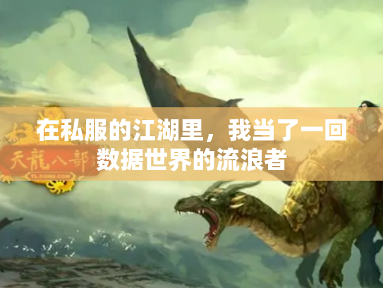 在私服的江湖里，我当了一回数据世界的流浪者