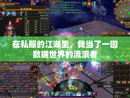 在私服的江湖里，我当了一回数据世界的流浪者