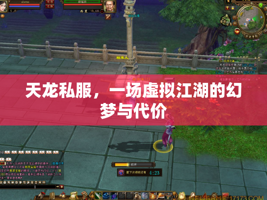 天龙私服，一场虚拟江湖的幻梦与代价