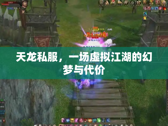 天龙私服，一场虚拟江湖的幻梦与代价