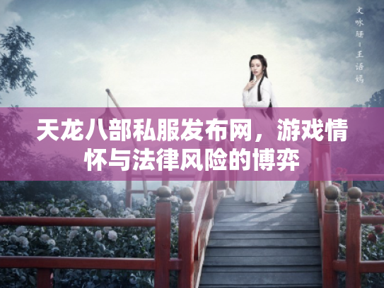 天龙八部私服发布网，游戏情怀与法律风险的博弈