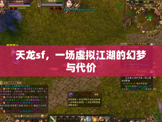天龙sf，一场虚拟江湖的幻梦与代价