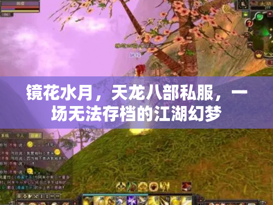镜花水月，天龙八部私服，一场无法存档的江湖幻梦