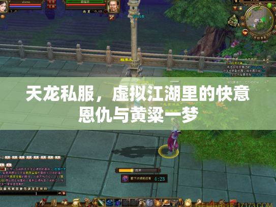 天龙私服，虚拟江湖里的快意恩仇与黄粱一梦