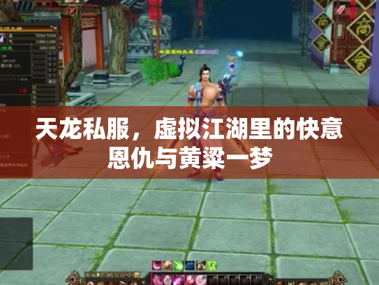 天龙私服，虚拟江湖里的快意恩仇与黄粱一梦
