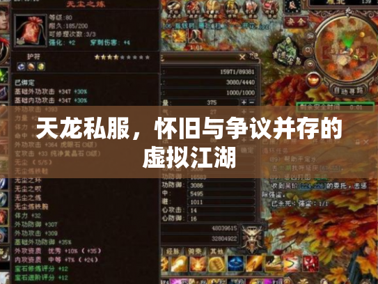 天龙私服，怀旧与争议并存的虚拟江湖