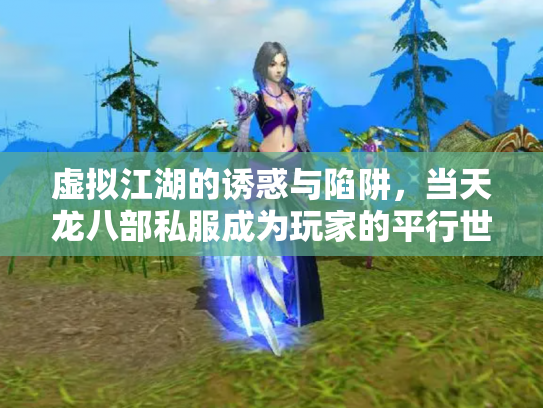虚拟江湖的诱惑与陷阱，当天龙八部私服成为玩家的平行世界