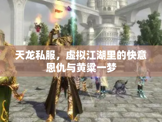 天龙私服，虚拟江湖里的快意恩仇与黄粱一梦
