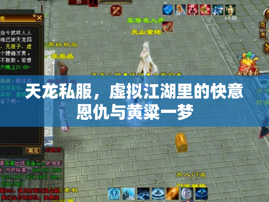 天龙私服，虚拟江湖里的快意恩仇与黄粱一梦