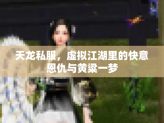 天龙私服，虚拟江湖里的快意恩仇与黄粱一梦