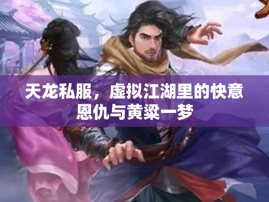 天龙私服，虚拟江湖里的快意恩仇与黄粱一梦