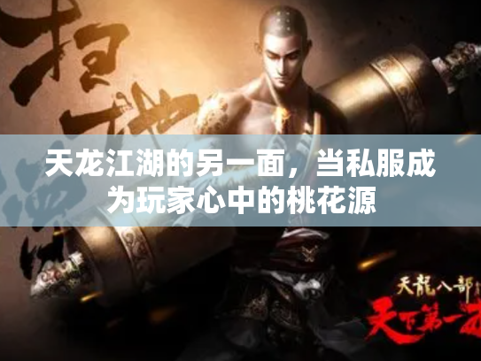 天龙江湖的另一面，当私服成为玩家心中的桃花源