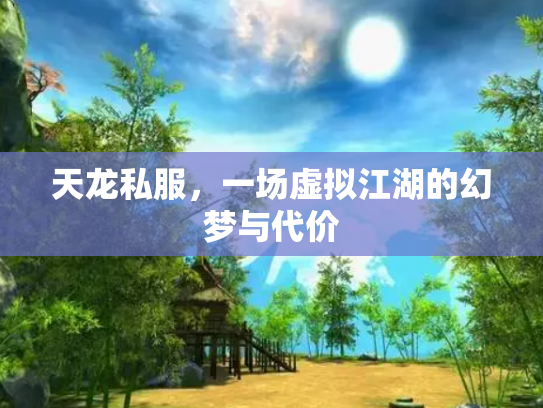 天龙私服，一场虚拟江湖的幻梦与代价
