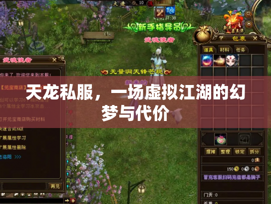 天龙私服，一场虚拟江湖的幻梦与代价