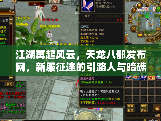 江湖再起风云，天龙八部发布网，新服征途的引路人与暗礁