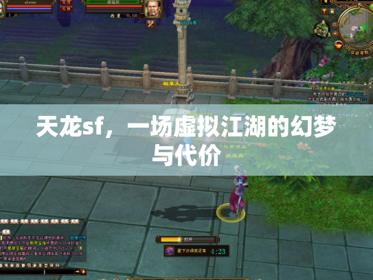 天龙sf，一场虚拟江湖的幻梦与代价