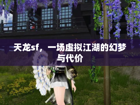 天龙sf，一场虚拟江湖的幻梦与代价