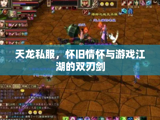 天龙私服，怀旧情怀与游戏江湖的双刃剑