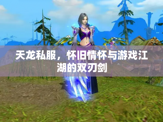 天龙私服，怀旧情怀与游戏江湖的双刃剑