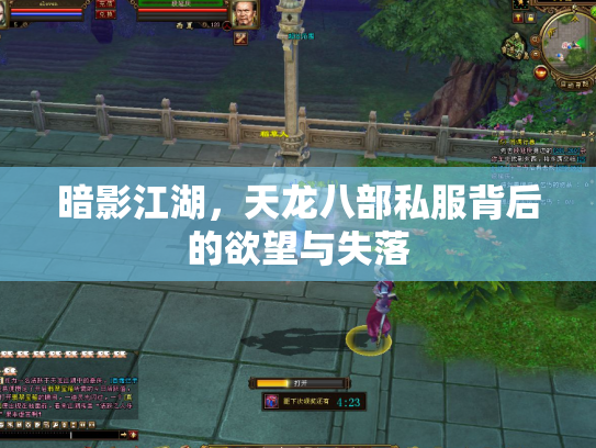 暗影江湖，天龙八部私服背后的欲望与失落