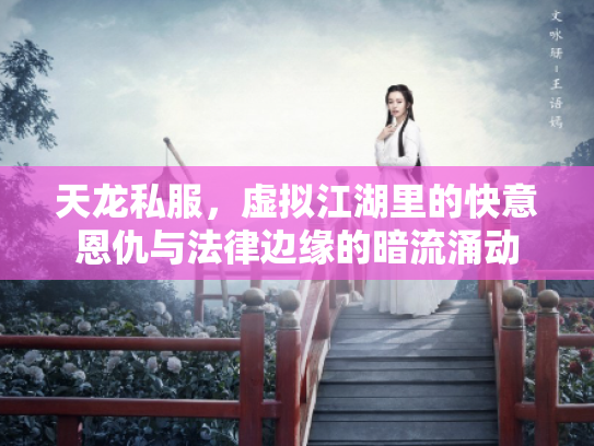 天龙私服，虚拟江湖里的快意恩仇与法律边缘的暗流涌动