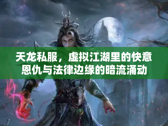 天龙私服，虚拟江湖里的快意恩仇与法律边缘的暗流涌动